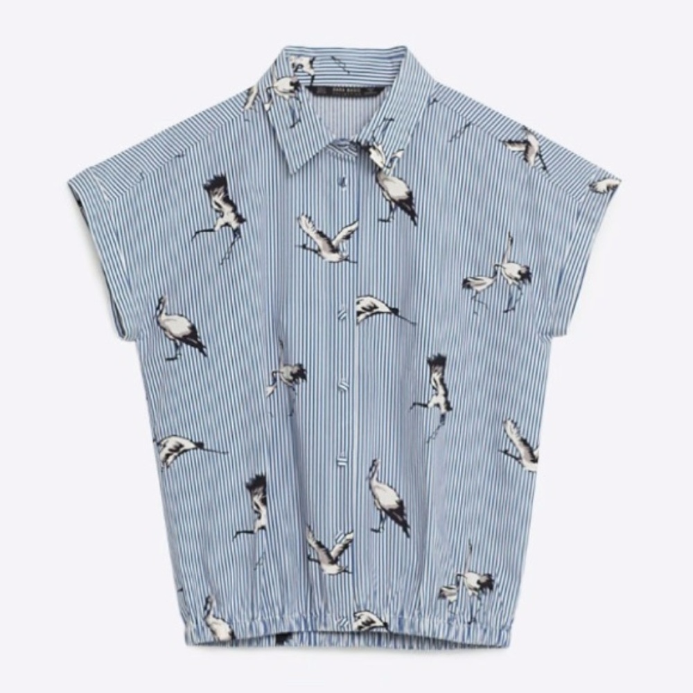 Zara Striped Collared Shirt w/ Bird Print